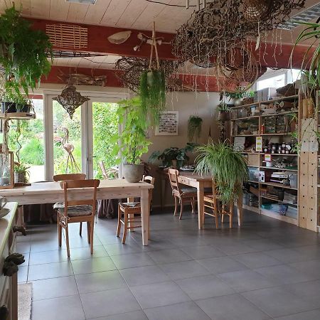 Appartementen Het Oude Atelier 슐 외부 사진