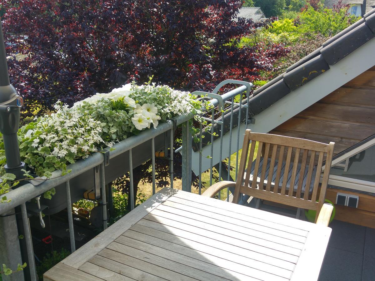 Appartementen Het Oude Atelier 슐 외부 사진